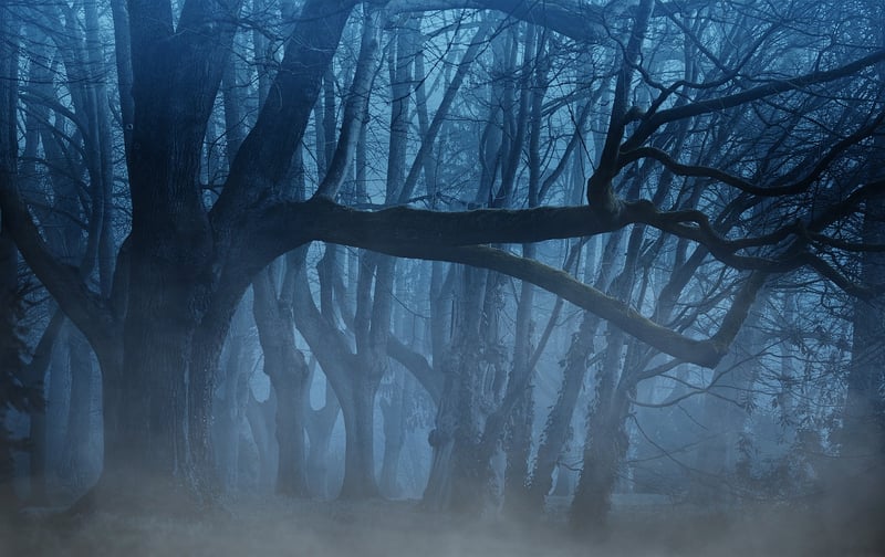 Mystical Landscapes